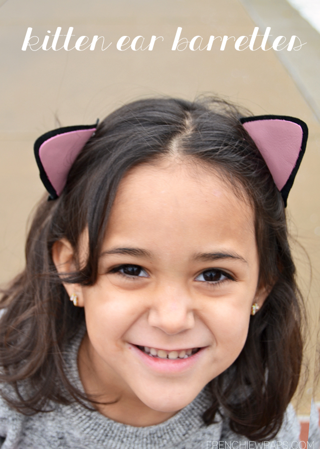 kitten accessories