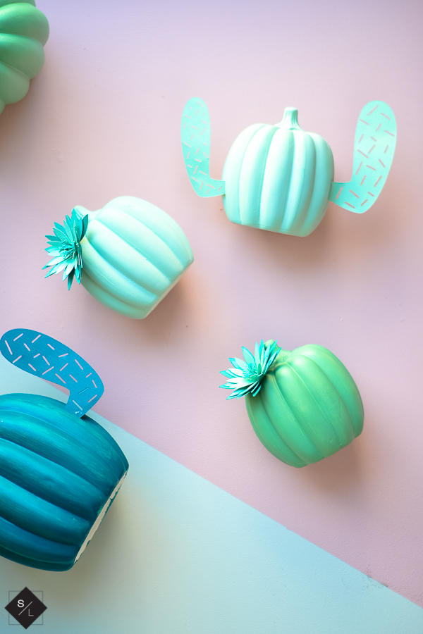 cactus pumpkins