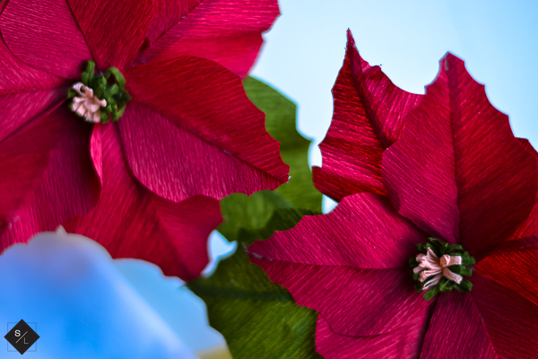 Cricut Maker flower