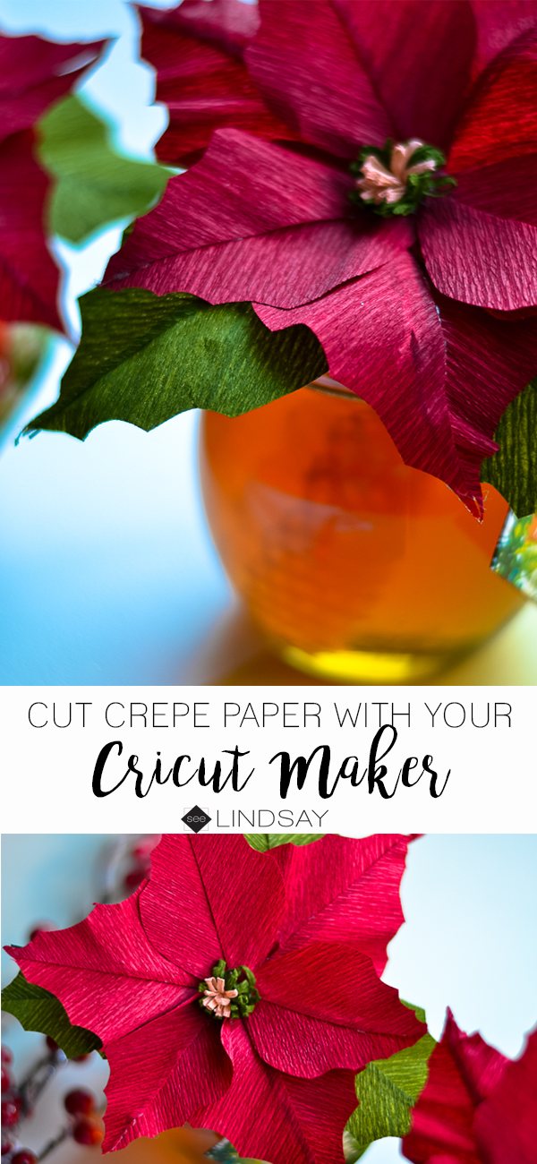 crepe paper poinsettia