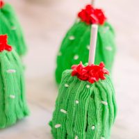 Make delicious cactus cake pops. This cactus party food is sure to make an appearance at your next themed party. #cactus #cactusparty #cactusfood
