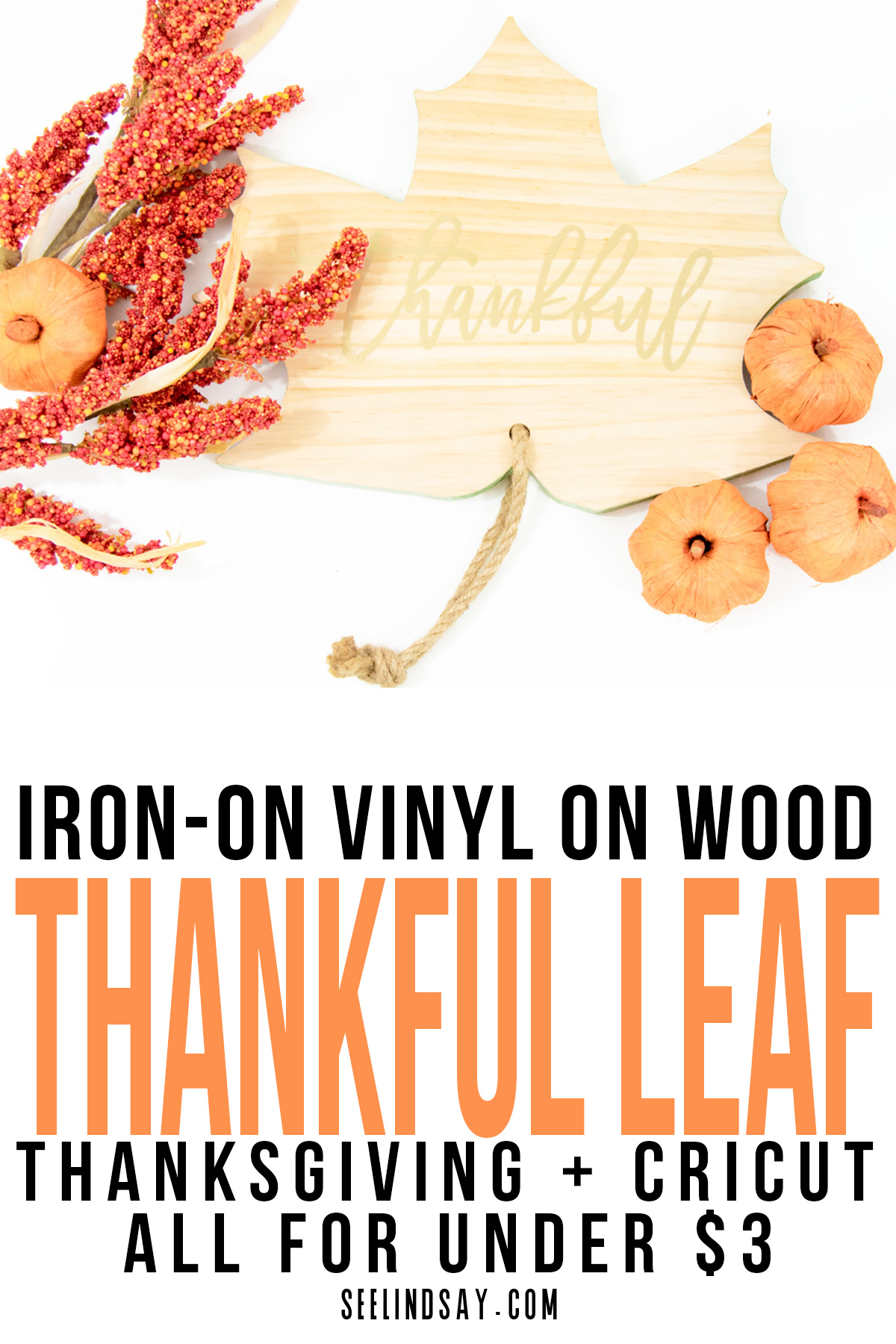 thanksgiving sign with cricut