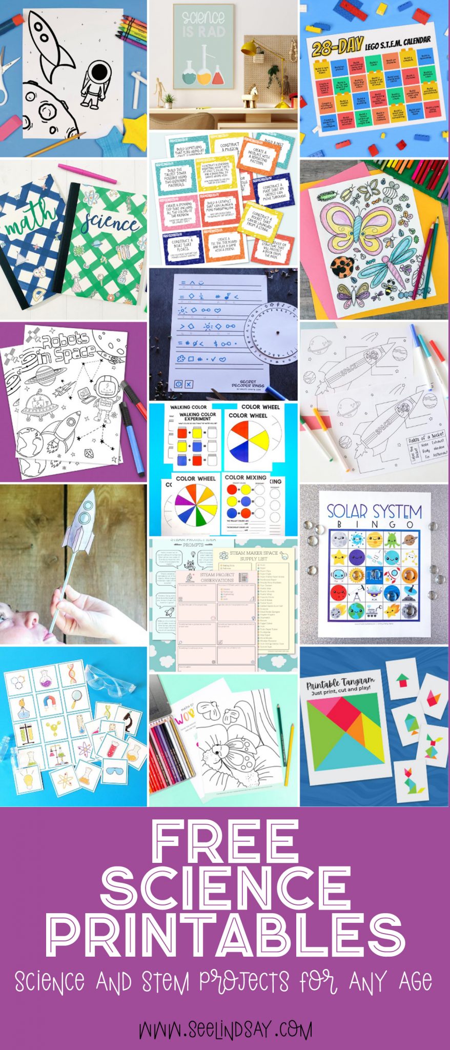 free science and stem printables